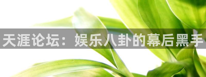 星亿娱乐app官方网站：天涯论坛：娱乐八卦的幕后黑手