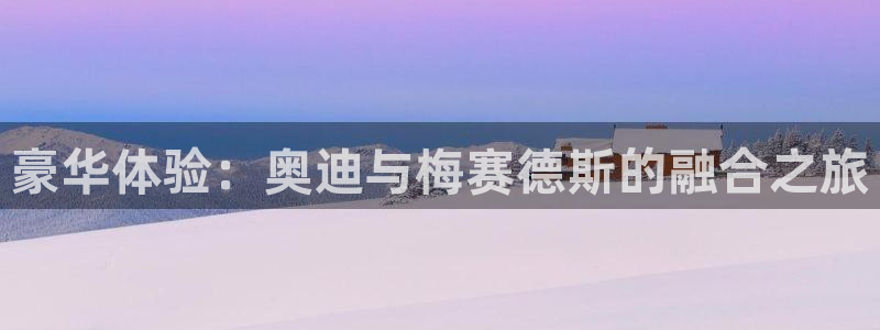 星亿娱乐代理注册入口：豪华体验：奥迪与梅赛德斯的融合之旅