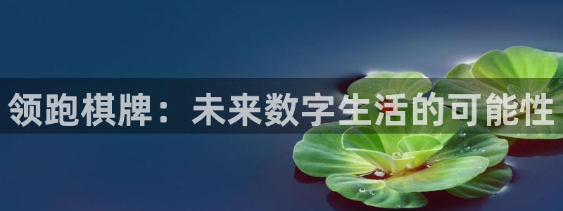 星亿平台注册：领跑棋牌：未来数字生活的可能性
