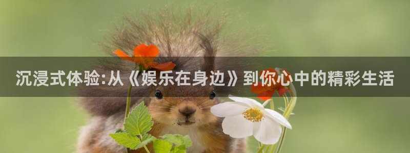 星亿娱乐主管：沉浸式体验:从《娱乐在身边》到你心中的精彩生活