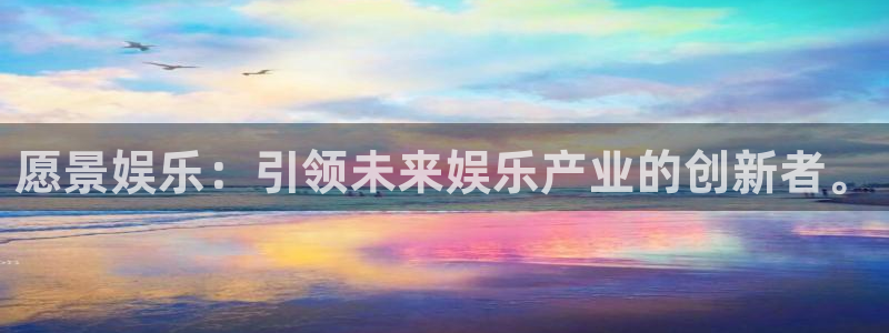 星亿星娱乐旗下艺人：愿景娱乐：引领未来娱乐产业的创新者。