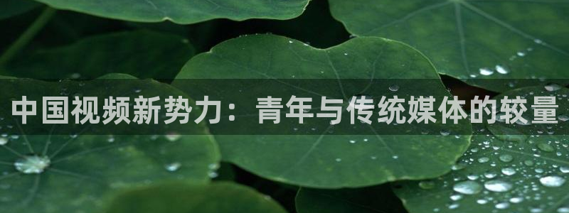 星亿娱乐app官方网站：中国视频新势力：青年与传统媒体的较量