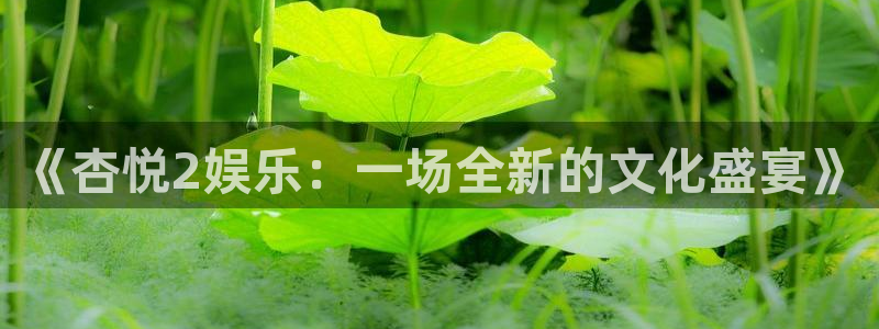 星亿娱乐登录：《杏悦2娱乐：一场全新的文化盛宴》
