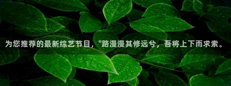 星亿娱乐代理：为您推荐的最新综艺节目，\