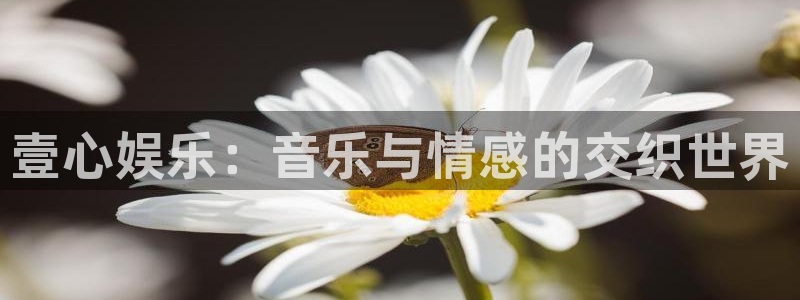 星亿娱乐app官方网站：壹心娱乐：音乐与情感的交织世界